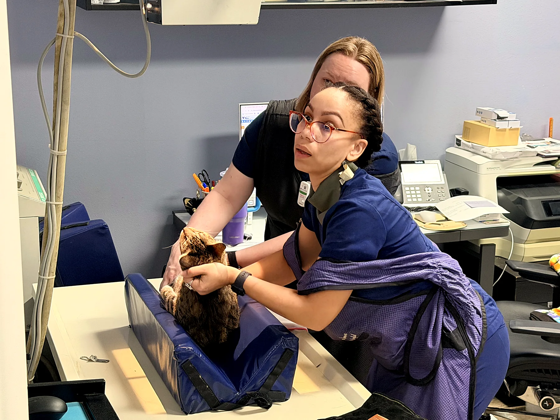 Two team members examining a cat