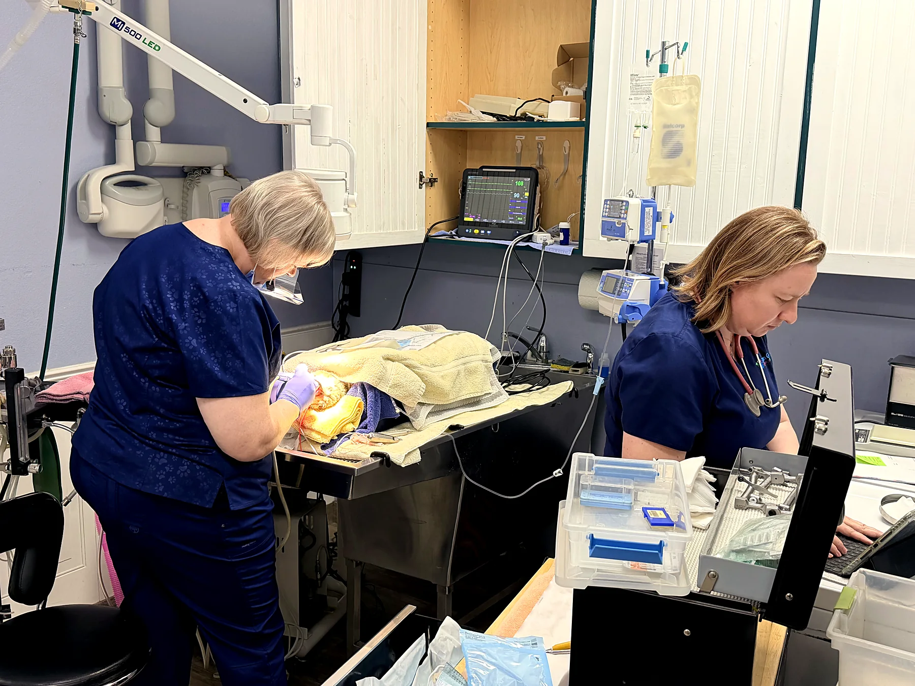 A dental cleaning in progress under monitored anesthesia