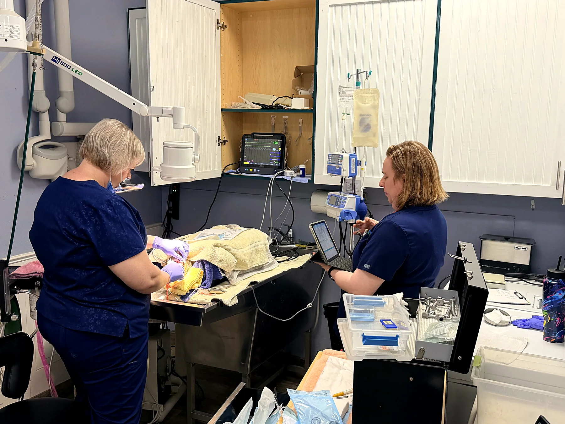 Team members performing a dental procedure