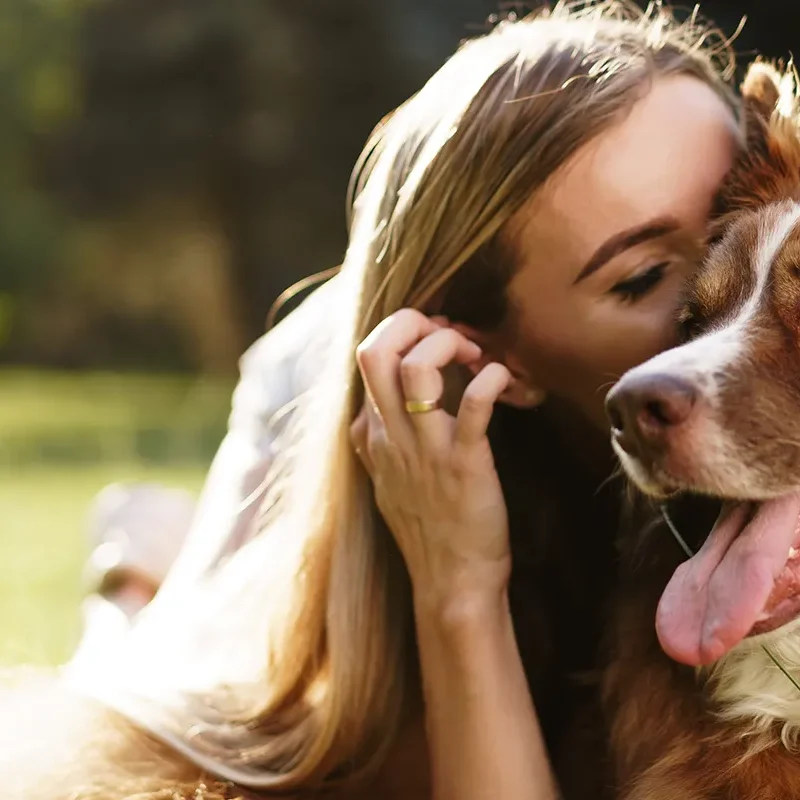 A woman hugging her brown and white dog in a sunny field