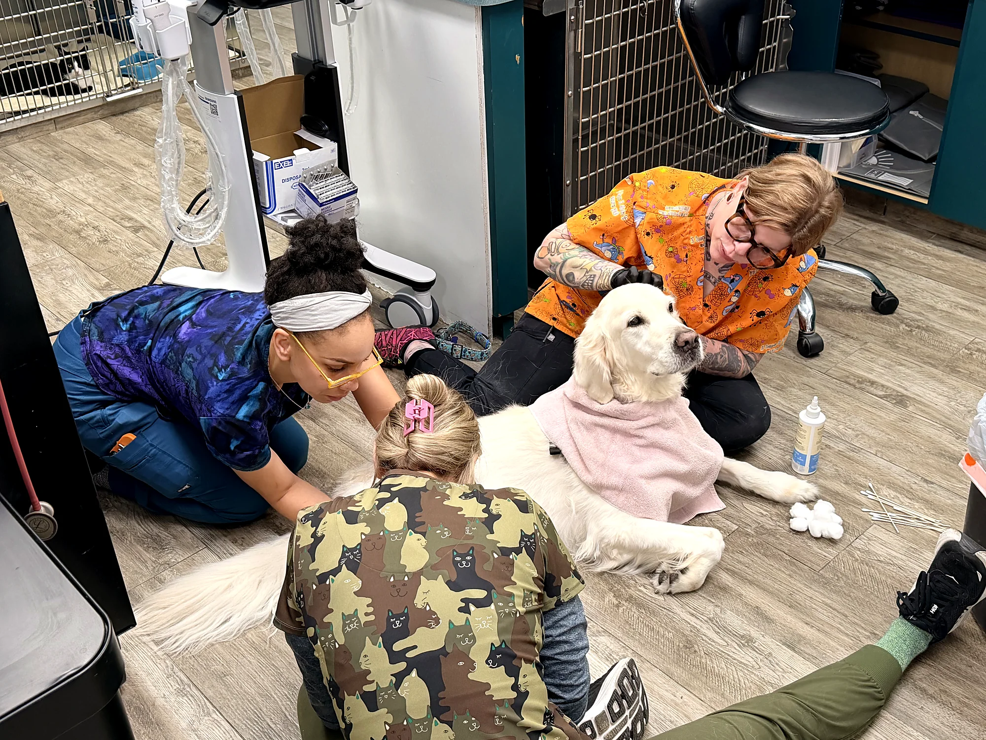 Pecan Grove team members comforting a golden retriever on the treatment room floor