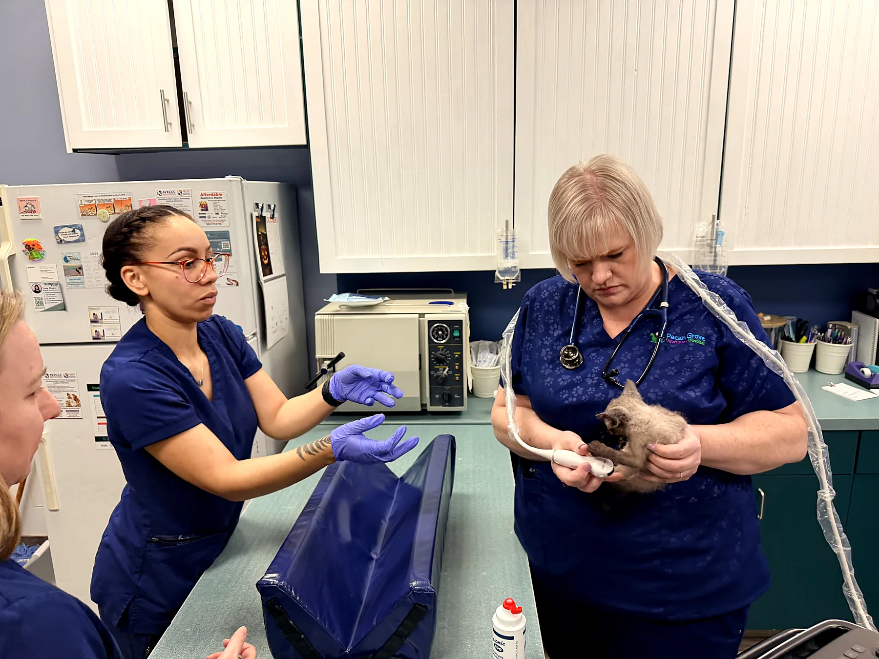 Lab work being prepared in the treatment area