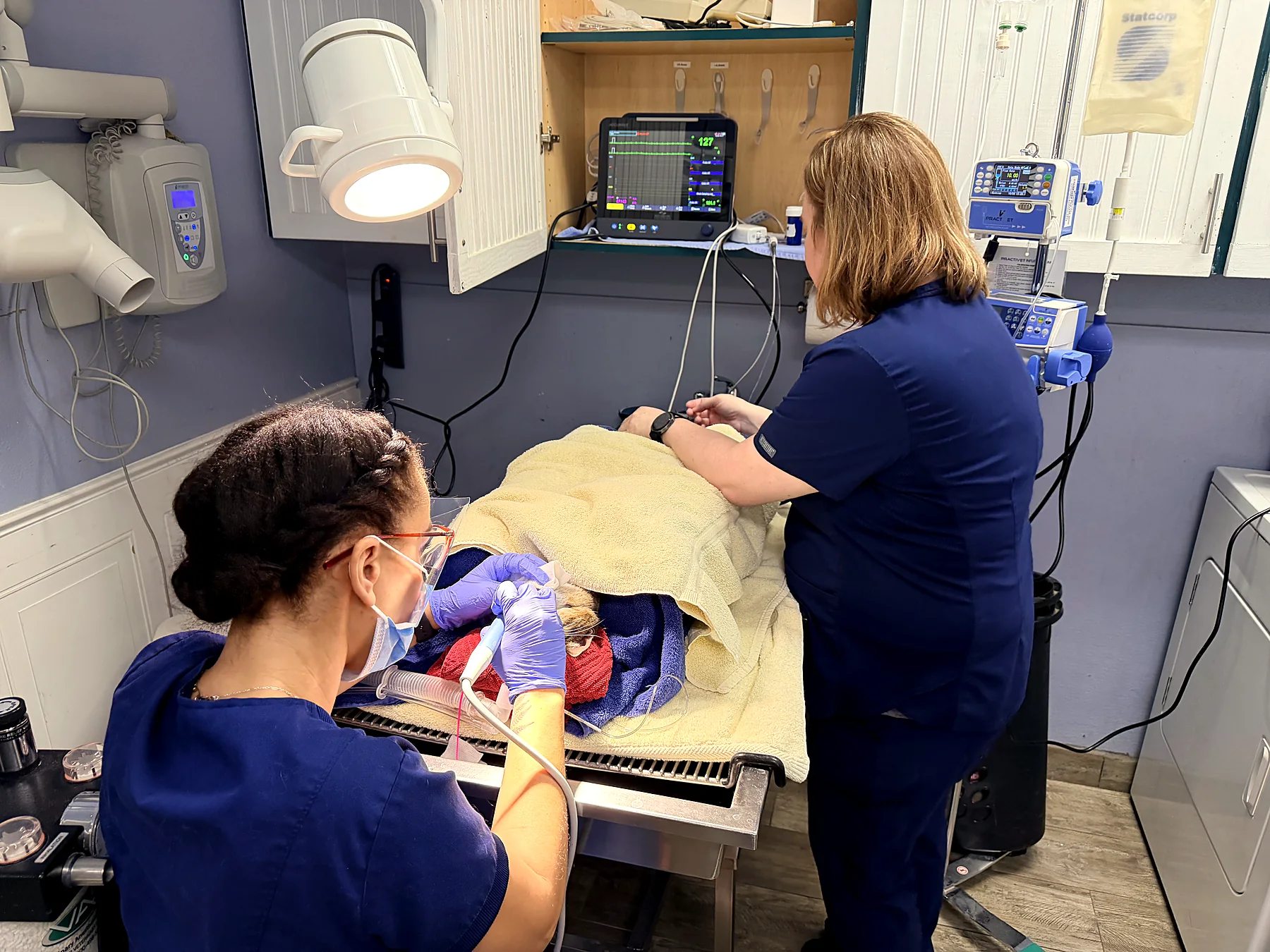 The surgical team monitoring a patient under anesthesia