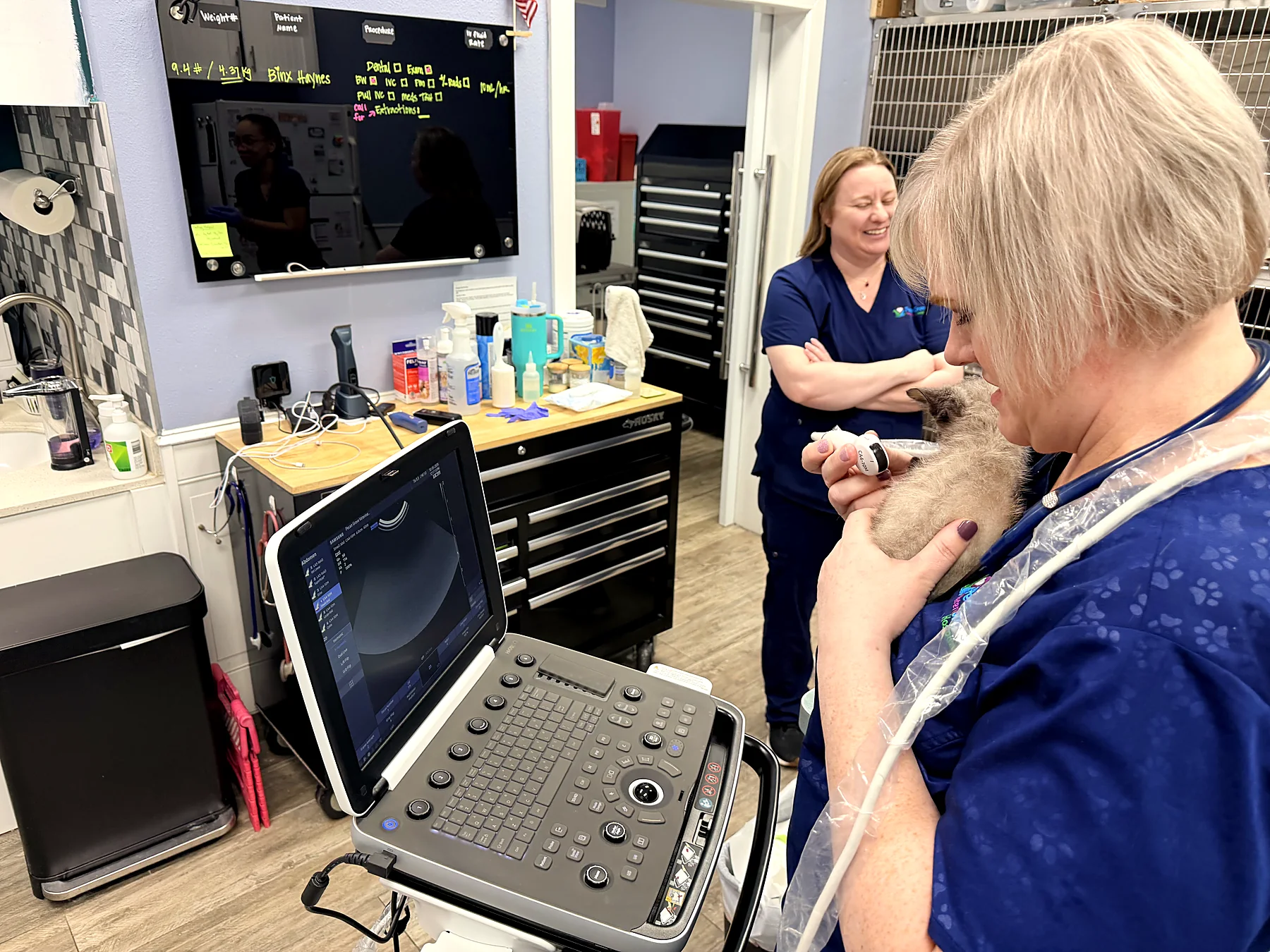 Dr. Stillmaker and the team with a cat beside the ultrasound machine